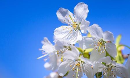 人过六十应该怎样活(人到六十岁的后的生活)