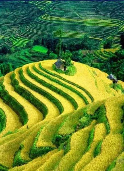 冬至有啥说道(冬至要忌讳什么)