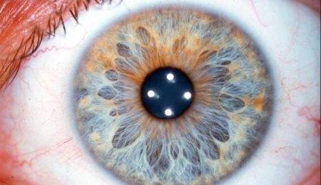 满族人的眼睛是什么颜色的