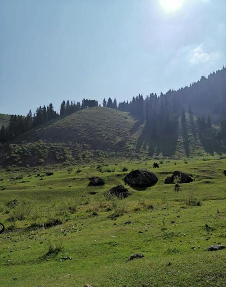 当自己很累坚持不下去的时候怎么办(太累了坚持不下去了怎么办)