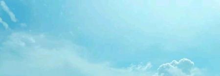 成语关于猫的成语(照猫画虎反类犬的意思)