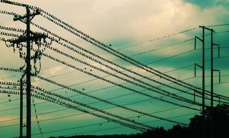 燕子在高压线上为什么不触电(电线的安全电流)