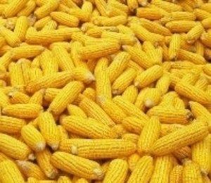 中秋节还有什么叫法