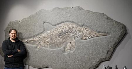 收藏奇石的意义和价值(让你一次看个够)