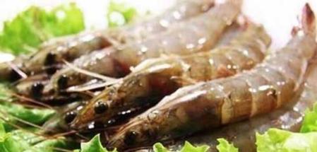 河虾要去虾线和虾头吗(炒虾要去头和虾线吗)