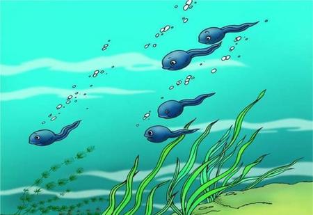 孔融让梨杀了母亲