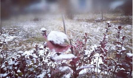 压垮生活的最后一根稻草(压倒自己的最后一根稻草什么意思)
