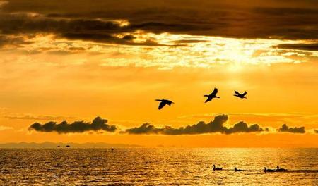 我最喜欢的描写秋天的诗句是什么