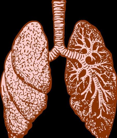 表面活性剂含有很强的 容易使不溶于水的物质(表面活性剂的临界胶束浓度cmc的测定)