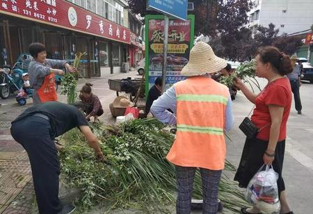种艾草能驱蚊吗(艾草可以驱蚊吗?)