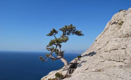美学的本质是什么(如何理解美学是关于审美现象的人文学科)