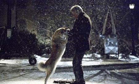 狗的电影推荐(10部关于狗狗感人的电影)