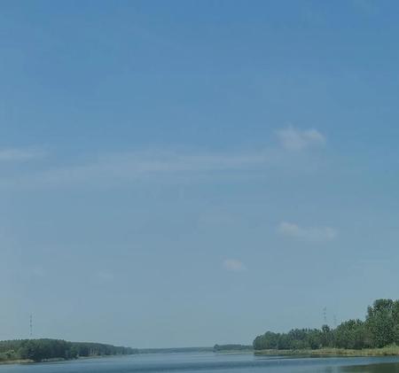 为什么父母一定要让孩子结婚(父母为什么要催女儿结婚)