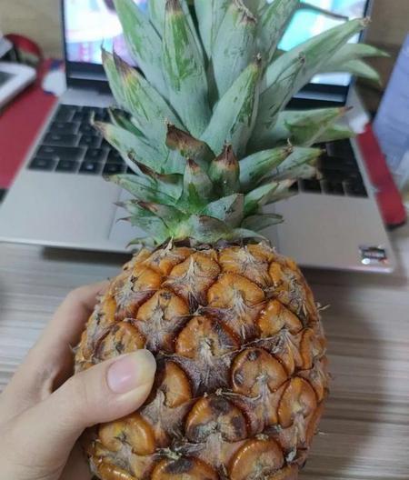 吃菠萝没用盐水泡有啥危害(甜蜜又苦涩)