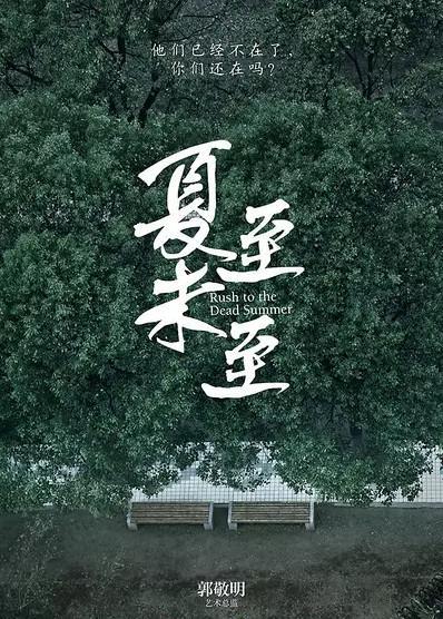 夏至未至小说傅小司结局