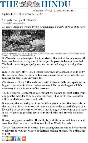 狮子与老虎大战(狮子和老虎大战的视频)