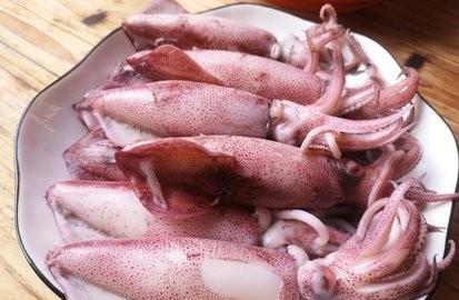 八爪鱼和鱿鱼有什么区别(八爪鱼和鱿鱼哪个好吃)