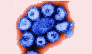 在世界疫情大肆蔓延的危机中(新冠肺炎疫情的全球蔓延)