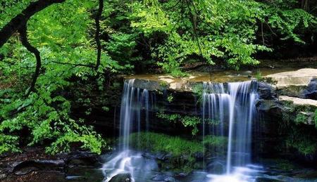 心烦意乱的时候怎么样才能平静下来?