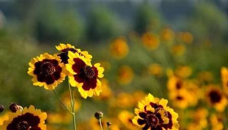 感动是爱吗(关于感情的问答)