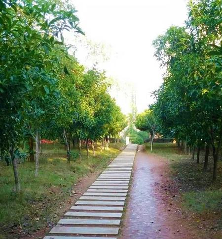 《狼图腾》告诉我们什么