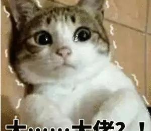 专四很难吗(英语专四难考吗)