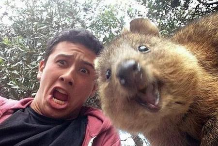 人与动物这个自然是可以和谐共处(动物与大自然和谐相处的作文)