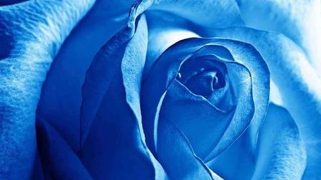 假如你明天就要死了你要做什么事情