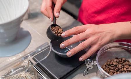 咖啡知识入门篇(咖啡基础篇:入门知识)