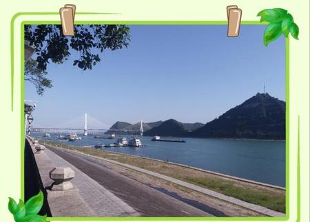 医生失业干什么(医生会失业吗)