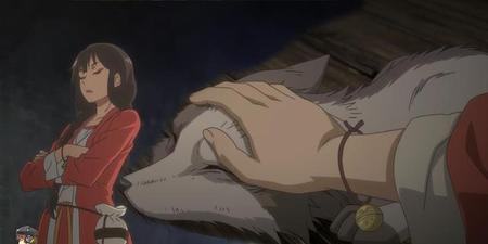 百妖谱灰狐中的少年