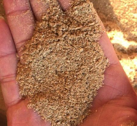 米糠喂鸡的好处(米糠和麦麸喂鸡哪个好)