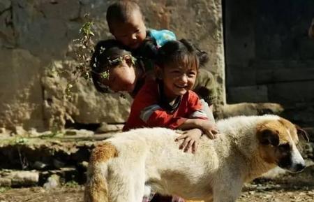 喂狗了是什么意思(对人别太好喂狗别喂饱下句)