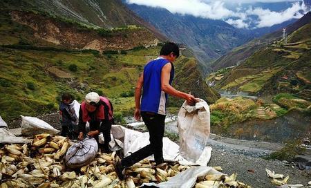 耕田是在什么季节做的(播种插秧耕田采桑除草割麦打谷积肥分季节)