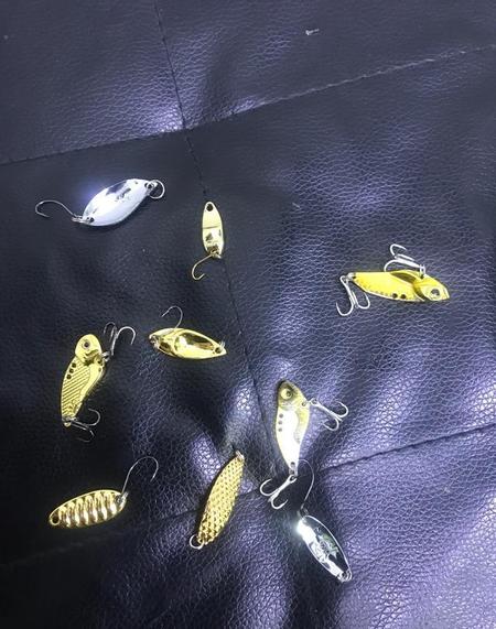 什么是路亚竿(自由之路路亚官网)