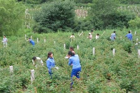 农产品滞销的问题理解与看法