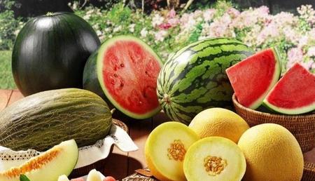 种瓜得瓜种豆得豆是不是俗语(简述人类基因组特点)