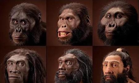 直立行走是人类由猿进化到人的过程中最本质的特征(人类和类人猿的共同特征)