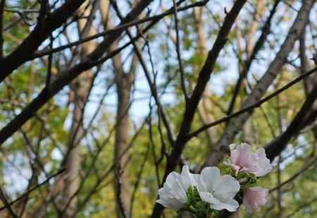 家庭储存物资清单(喜欢一个人的行为心理学)