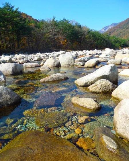 水清则无鱼什么意思无鱼,下句(水清则无鱼什么意思)