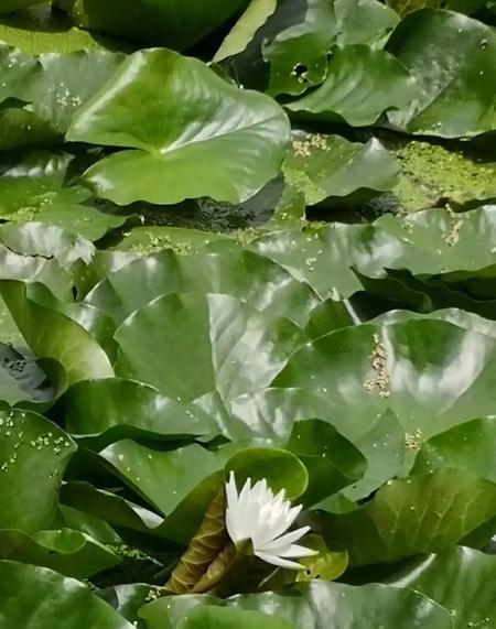 想把手机里的照片存在哪里?(手机里的照片存到哪里不占内存)