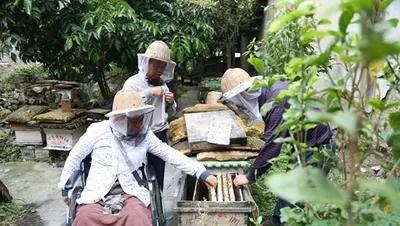 上蜂路对蜂群影响(中蜂养殖技术要点)