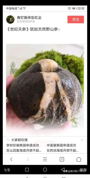 一个嗜赌成性的人有多可怕(嫁了一个性无能的老公)