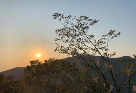 怎么看待网红打卡地(久违的风景依然明媚)