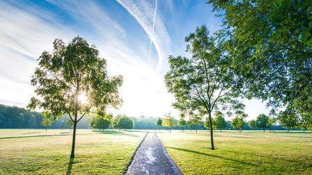 天生丽质的生肖是哪一肖(诗书气自华)
