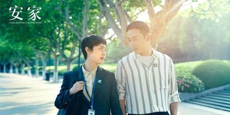 最近我看过的电视剧(安家好不好看)