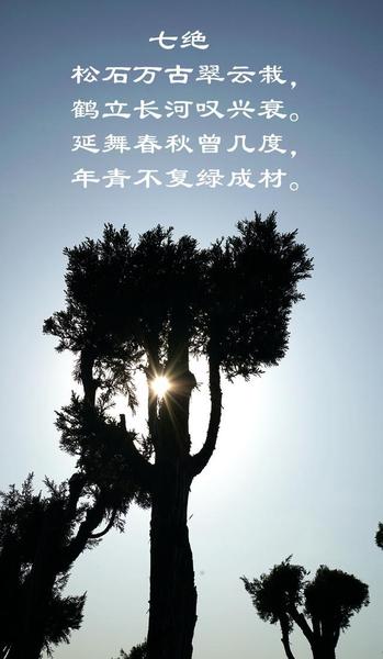 戒烟三个月抽了一根烟(戒烟 每天两三根)