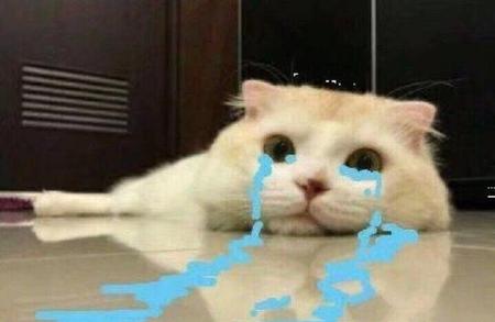 有什么社交软件吗(蹦迪软件app)