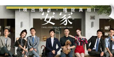 电视剧安家的剧评(安家电视剧评分)