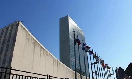 大赢家结局为什么要让他们走